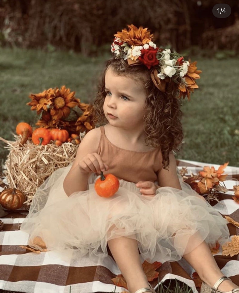 Cinnamon Sugar Frock