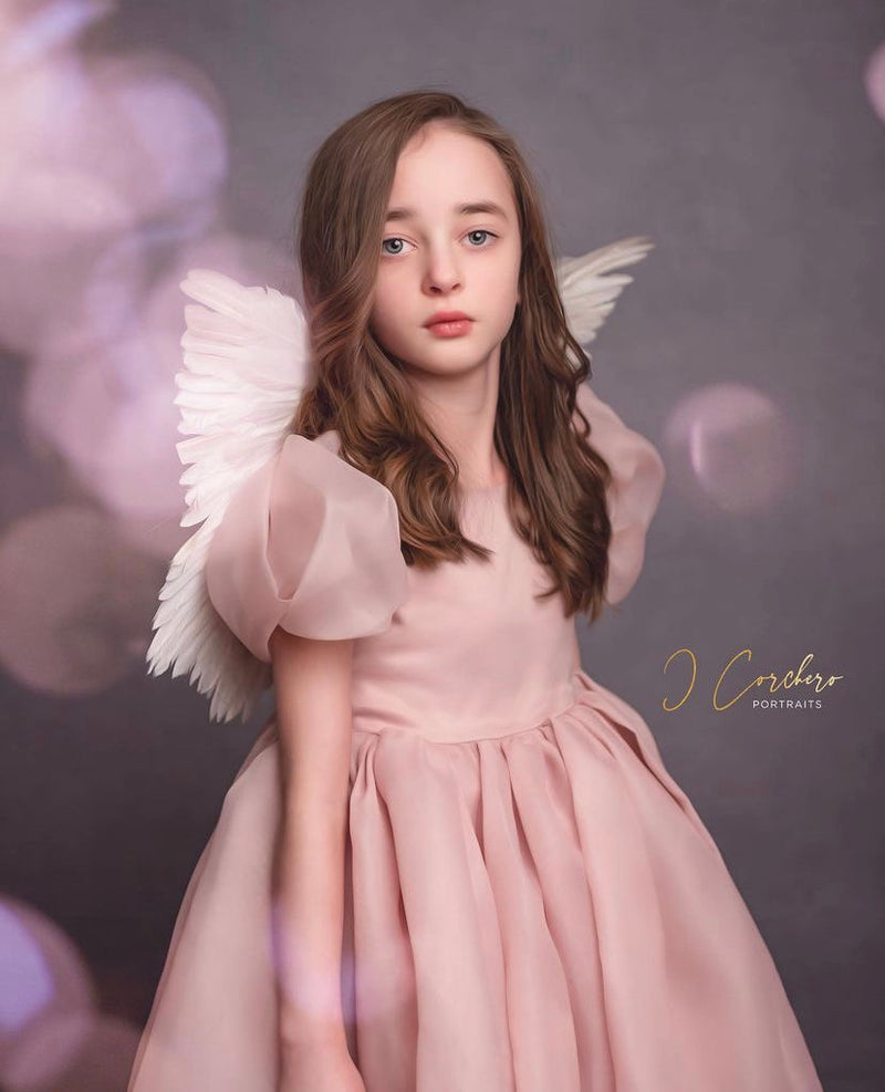 Sugar Plum Fairy Frock (blush)