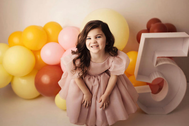 Sugar Plum Fairy Frock (blush)