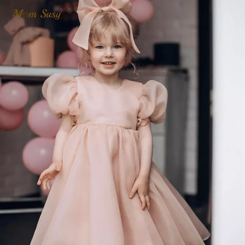 Sugar Plum Fairy Frock (blush)