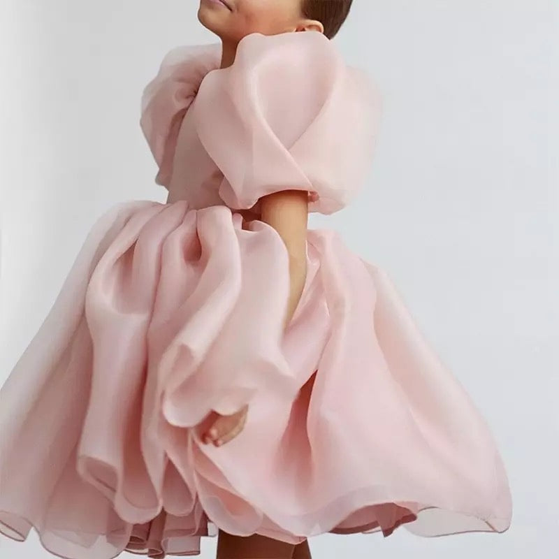 Sugar Plum Fairy Frock (blush)