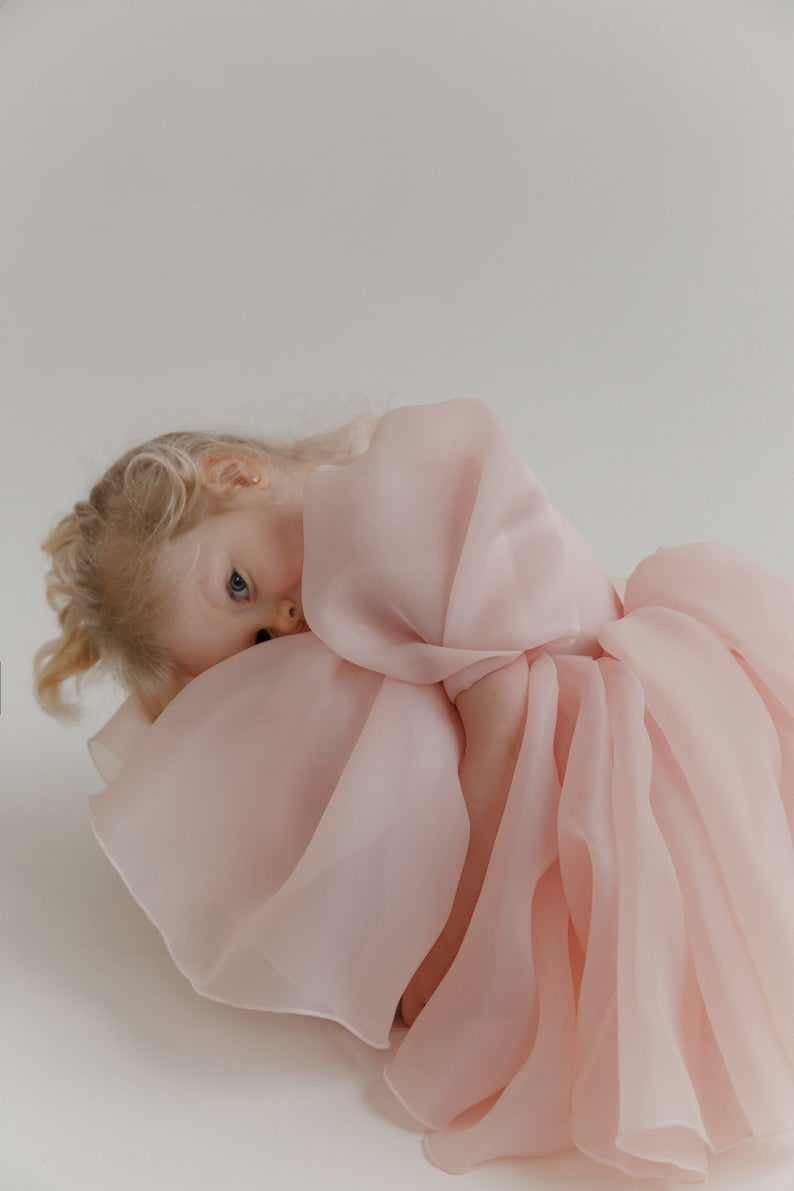 Sugar Plum Fairy Frock (blush)