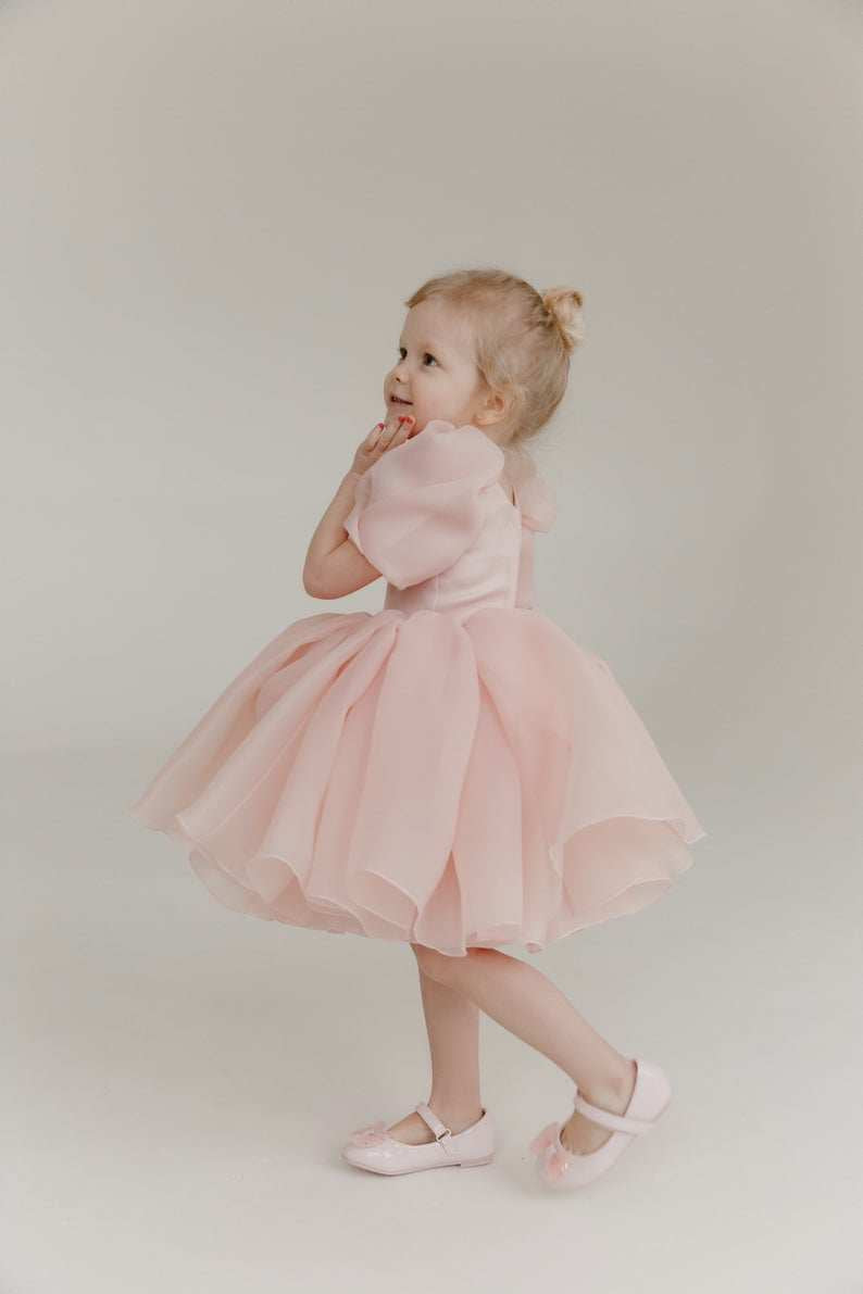 Sugar Plum Fairy Frock (blush)