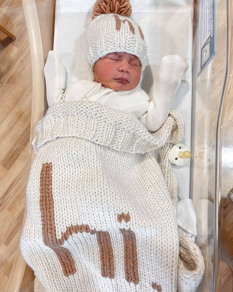 Hello, It’s Me Hand Knit Baby Blanket (Pecan)