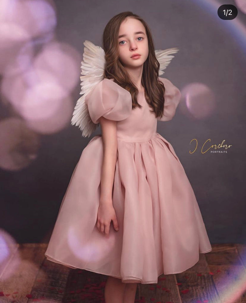 Sugar Plum Fairy Frock (blush)