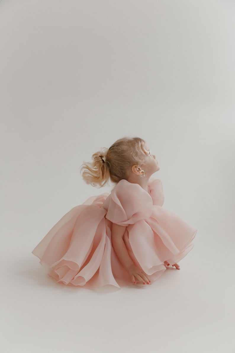 Sugar Plum Fairy Frock (blush)