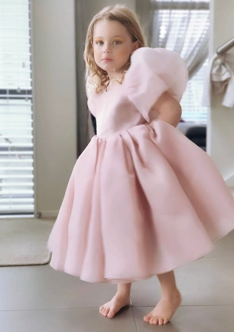 Sugar Plum Fairy Frock (blush)