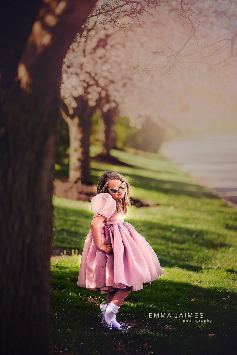 Sugar Plum Fairy Frock (blush)