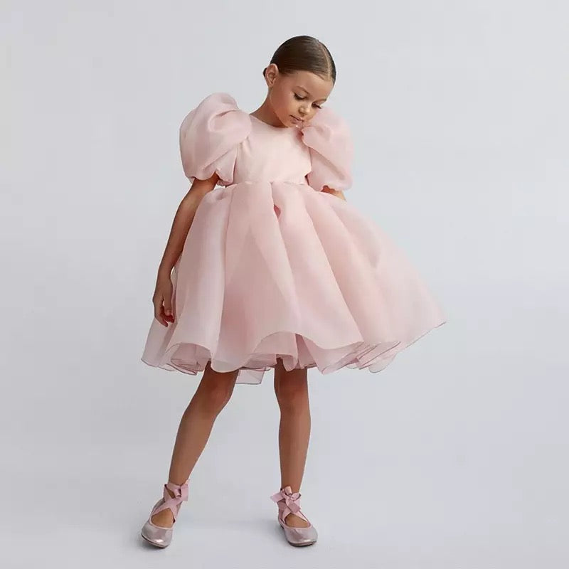 Sugar Plum Fairy Frock (blush)