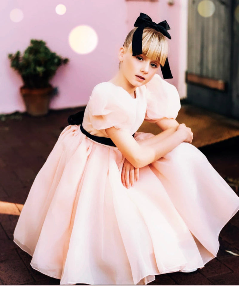 Sugar Plum Fairy Frock (blush)