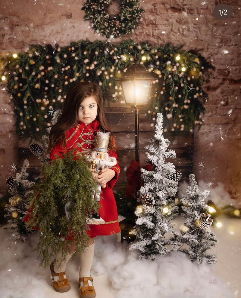 Nutcracker Coat (dove gray)